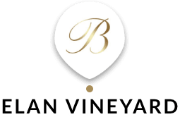 Elan Vineyard