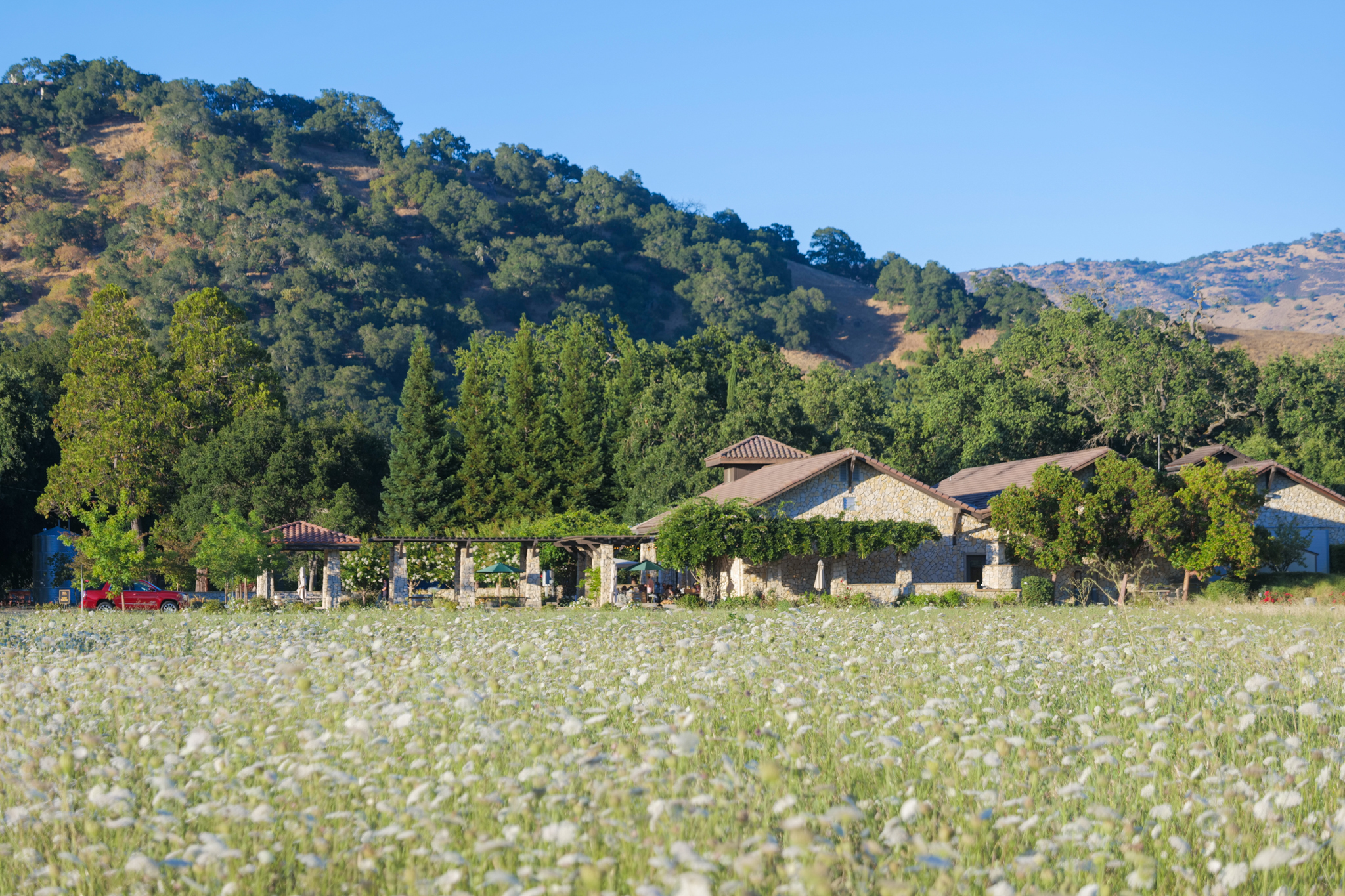 Bottle of Bell Wine Cellars Clone 6 Cabernet Sauvignon from Napa Valley on a stone surface